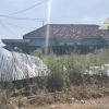KWT Desa Bumi Agung Marga Diduga Mangkrak, Warga Minta KPK dan Kejari Lampung Utara Turun Tangan.