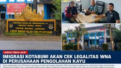 Imigrasi Kotabumi Akan Cek Legalitas WNA di Perusahaan Pengolahan Kayu, Jadwal Pemeriksaan Segera Disusun