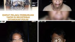 ‎Polres Mesuji Ungkap Kasus Perburuan Tapir Dilindungi di Register 45, Empat Terduga Pelaku Diamankan.