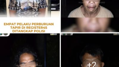 ‎Polres Mesuji Ungkap Kasus Perburuan Tapir Dilindungi di Register 45, Empat Terduga Pelaku Diamankan.