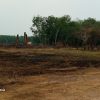 Taman Dibangun Dengan Uang Negara Terbakar, Kinerja Pengamanan Dipertanyakan.