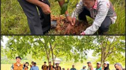 ‎Gotong Royong dan Penanaman Pohon di Taman Kandung Piyes, Tiyuh Karta Peringati Hari Desa Nasional.