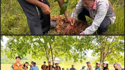 ‎Gotong Royong dan Penanaman Pohon di Taman Kandung Piyes, Tiyuh Karta Peringati Hari Desa Nasional.
