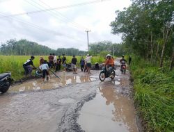 Jalan Rusak Parah, Warga Dua Kabupaten Tuba–Tubaba Turun Tangan Perbaiki Secara Swadaya.