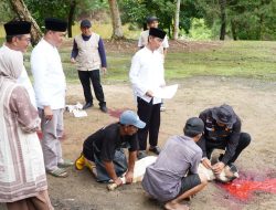 Pemkab Tubaba Gelar Penyembelihan Hewan Kurban Idul Adha 1447 H melalui Program Tubaba Berkurban.