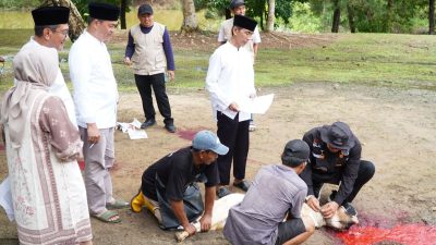 Pemkab Tubaba Gelar Penyembelihan Hewan Kurban Idul Adha 1447 H melalui Program Tubaba Berkurban.