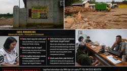 Keberadaan Dua WNA di Industri Pengolahan Kayu Tuai Sorotan, Jawaban Juru Bicara Dinilai Tidak Menjelaskan Status Legalitas