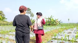 OWNER REDDOORZ SYARIAH TINJAU PERKEMBANGAN LAHAN PERKEBUNAN DI KALICECEP WONOSOBO.