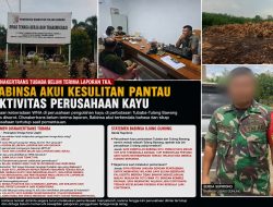 Disnakertrans Tulang Bawang Belum Terima Laporan TKA, Babinsa Mengaku Kesulitan Pantau Aktivitas Perusahaan Pengolahan Kayu.