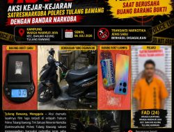Aksi Kejar-Kejaran Satresnarkoba Polres Tulang Bawang Dengan Bandar Narkoba, Pelaku Di bekuk Saat Berusaha Buang Barang Bukti.