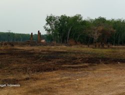 Taman Dibangun Dengan Uang Negara Terbakar, Kinerja Pengamanan Dipertanyakan.